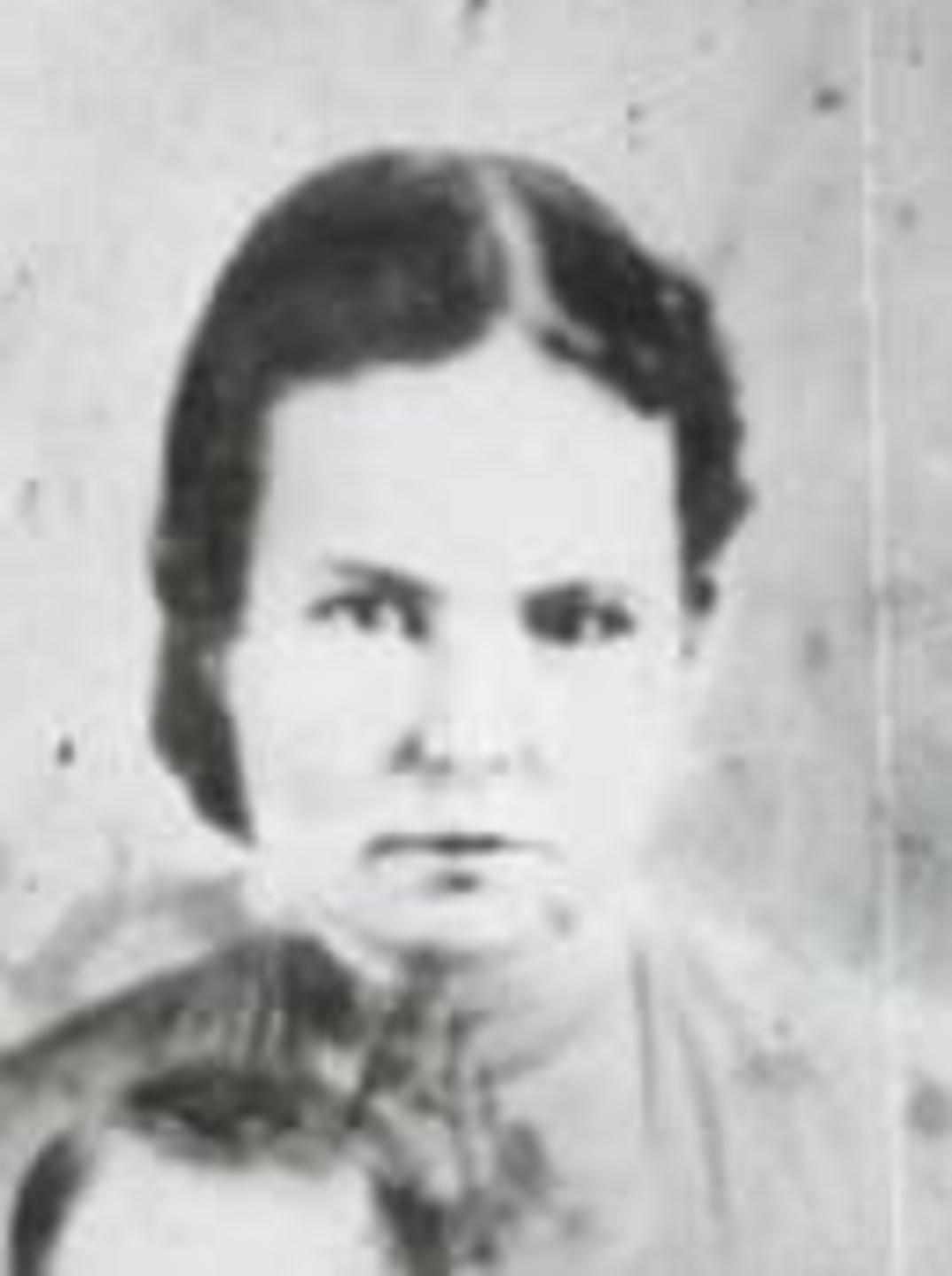 Emily Katherine Coombs (1849 - 1893) Profile